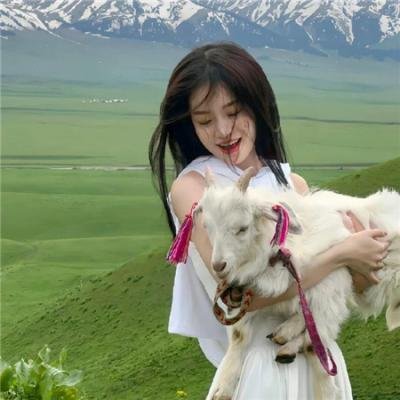 汽车睡眠谋杀案